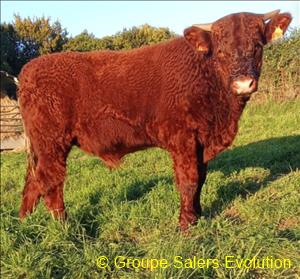 photo non disponible